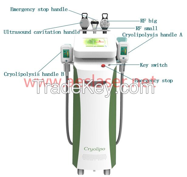 Cryolipolysis system for lose fat