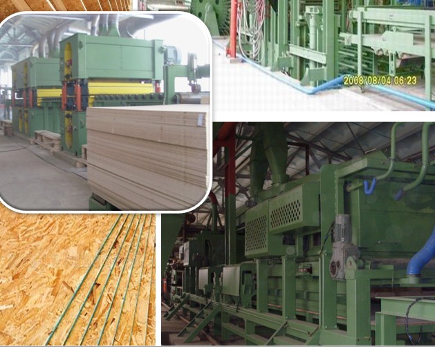 OSB production line