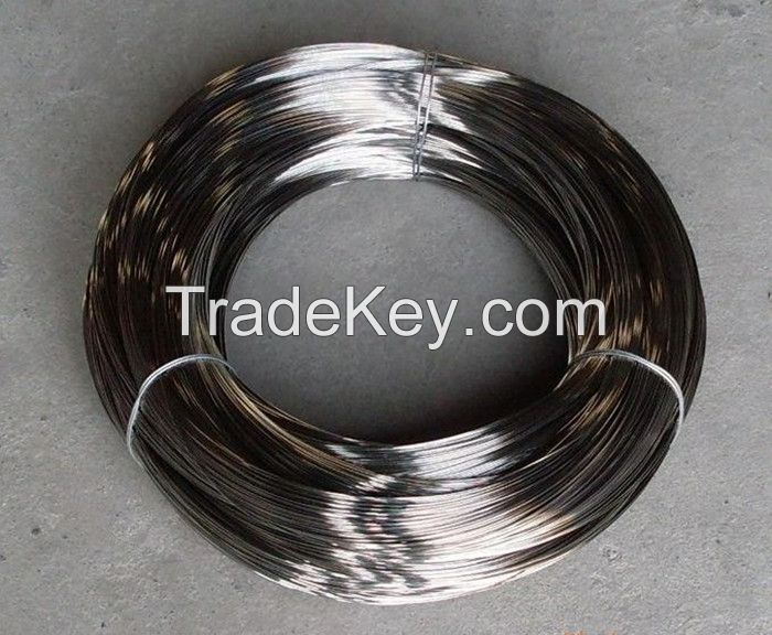 Stainless Steel Wire / 304 Stainless Steel Wire