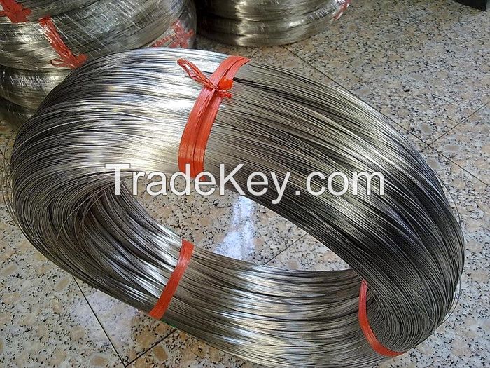 Stainless Steel Wire / 304 Stainless Steel Wire