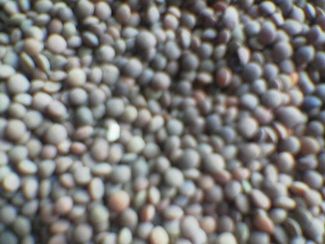 RED WHOLE LENTILS UNHUSKED