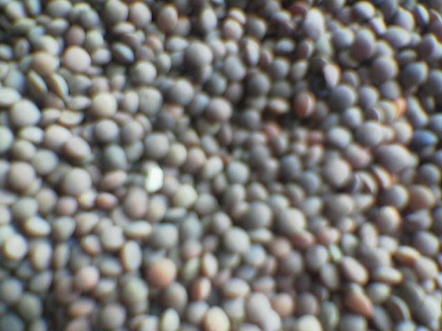 UNHUSKED RED WHOLE LENTILS