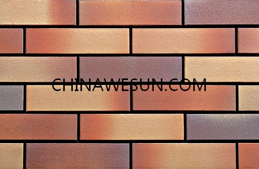 Clay Brick WFS2301
