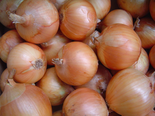 onion