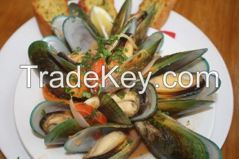 New Zealand Green Shell Mussels