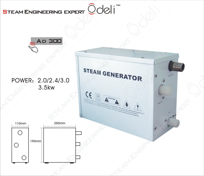 AD300 standard steam generator