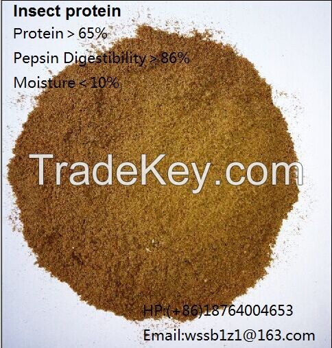 Insect Powder