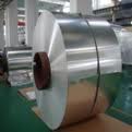 Stainless Steel Plate /Coil 321