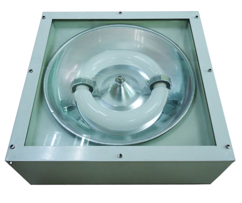 Induction Ceiling Light