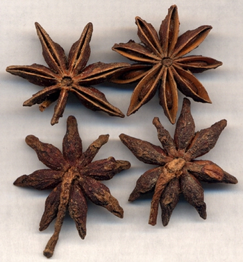 Star Anise/Lllicium Verum/Fennel/Huixiang/Spice/herb
