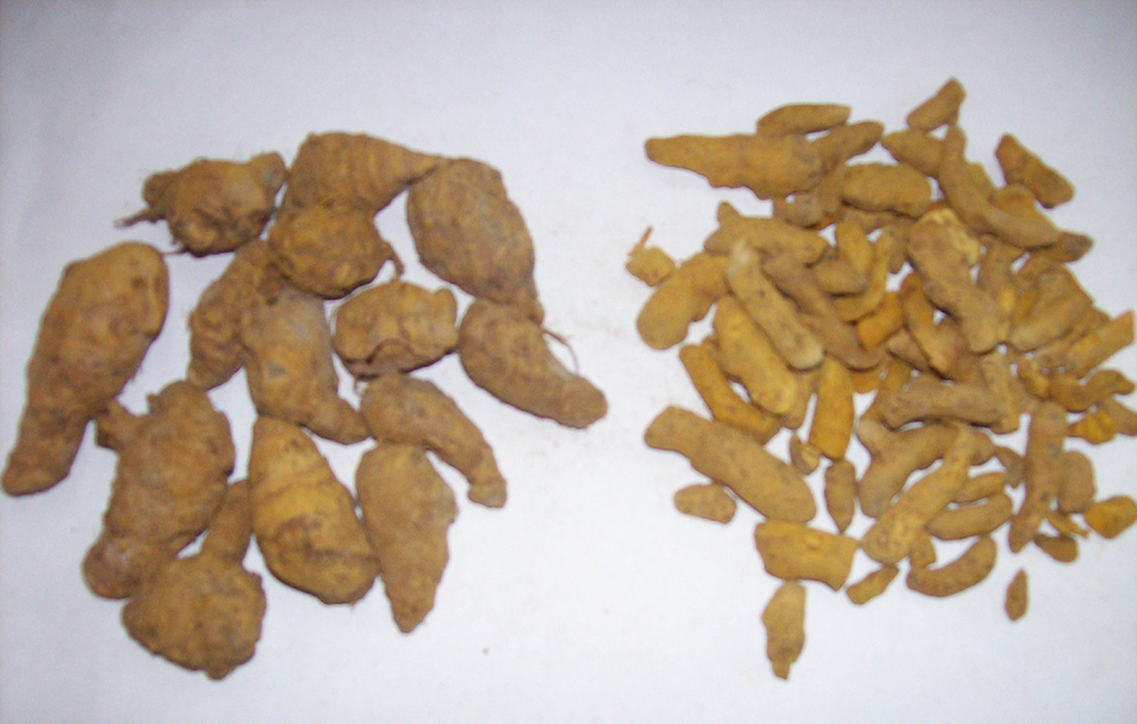 Turmeric/Curcuma Longa/Rhizoma Curcumae Longae/Jianghuang/Chinese herb