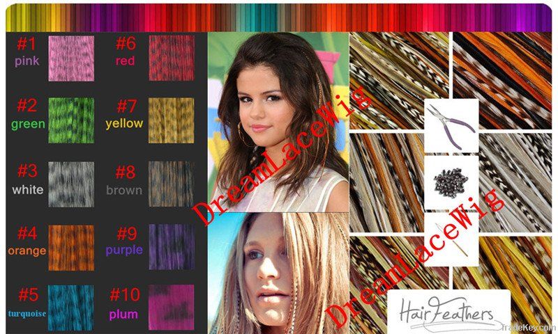 wholesale-Feather extension, hot-selling now