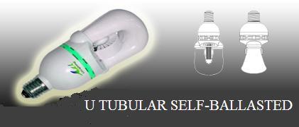 15W Induction lamp