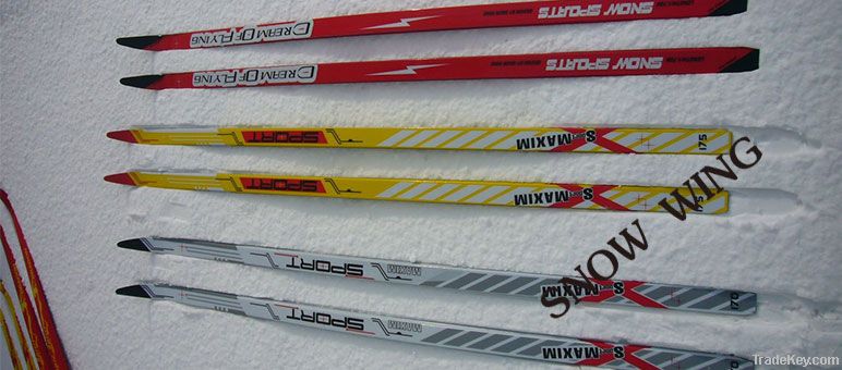 winter skis of adult