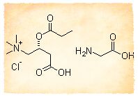 Nutrition enhancer Glycine Propionyl-L-Carnitine HCl(GPLC) 