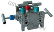 manifold valve