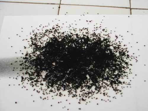 Activated Carbon