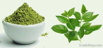 ORGANIC HENNA POWDER