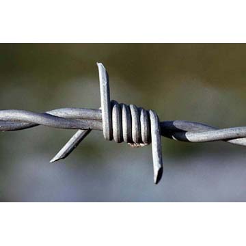 barbed wire