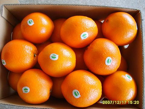 Navel Orange