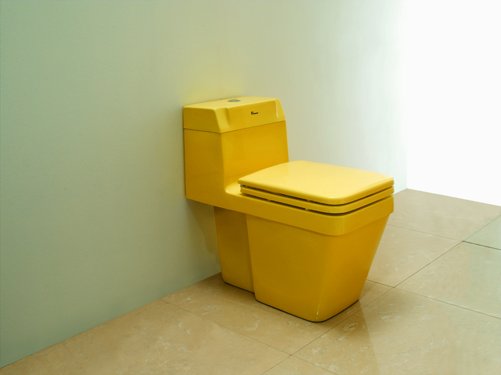 Single Flush toilet(colorful toilet)