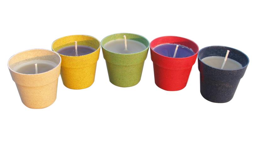 biodegradble candle cups