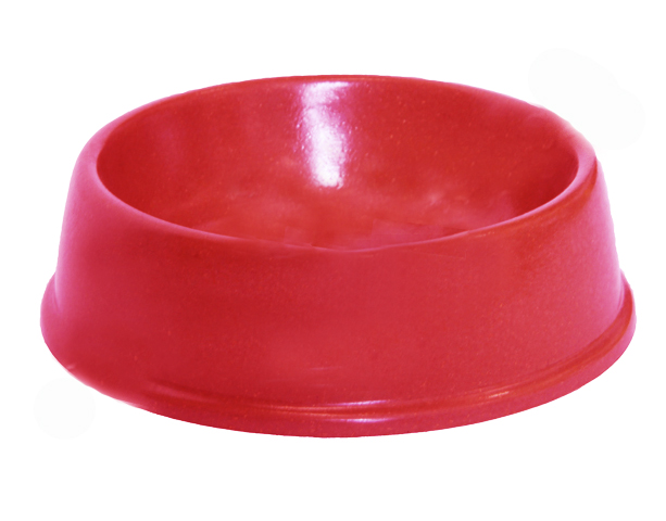biodegradble pet  bowls     pet pot