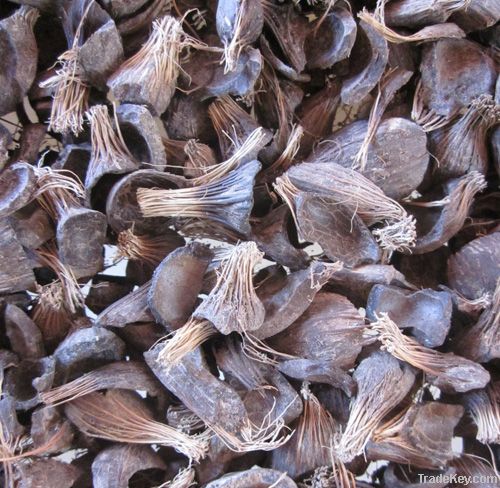 Palm Kernel Shell