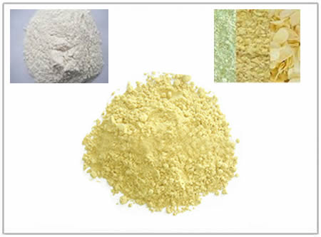 Garlic Powder Making Product Line