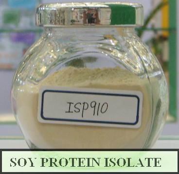 Isolated soy protein