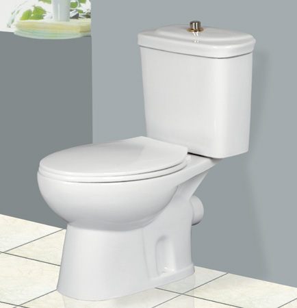 Two Piece Toilet