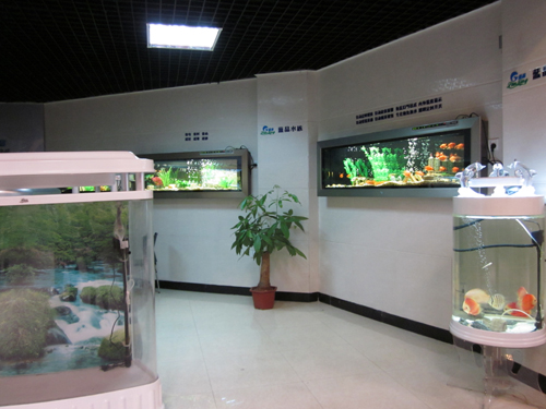 aquarium tank