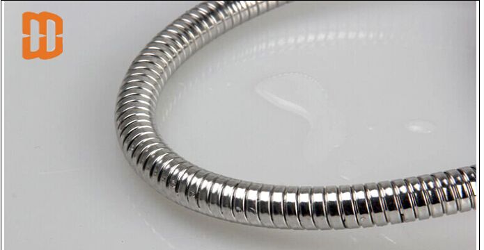 Winley stainless steel double lock extensible shower hose