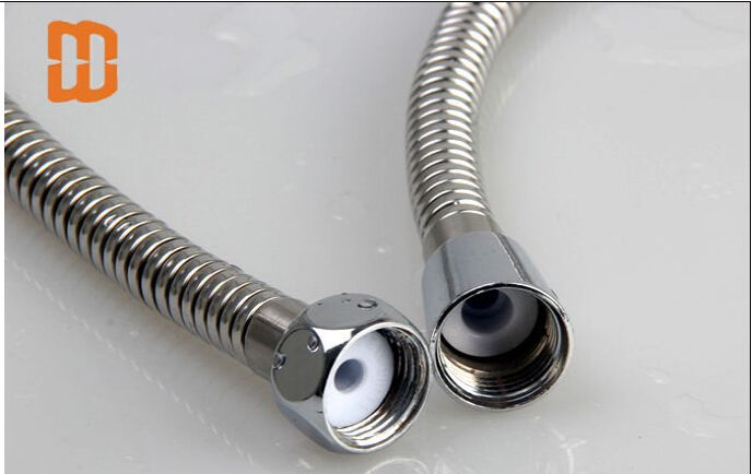 Winley stainless steel double lock extensible shower hose