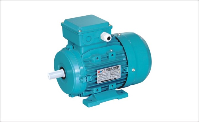 MS series three phase asynchronous motor