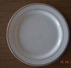 plastic plate