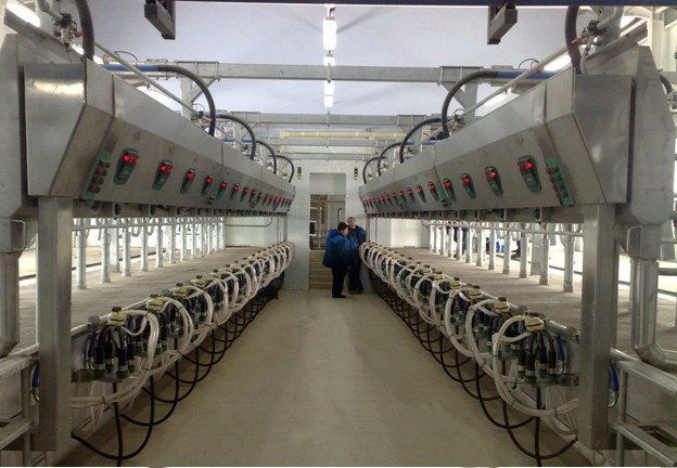 Parallel Intelligent Milking System