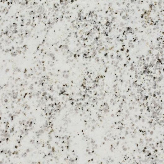 Sell Plateau Snow Granite tiles