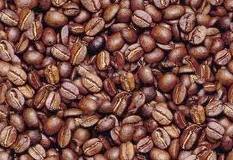 coffee bean (for sale)