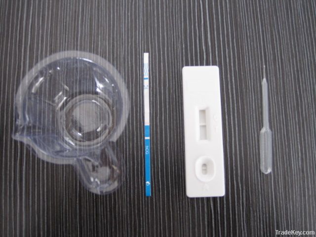 Pregnancy Test