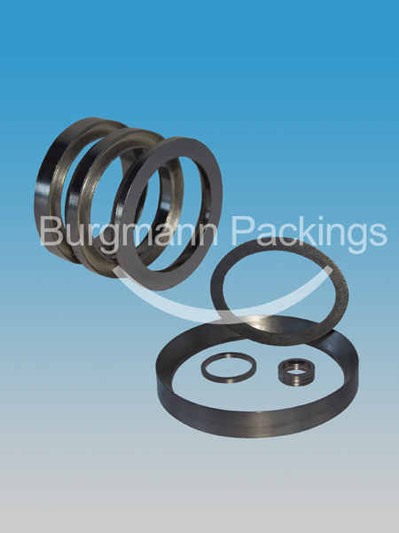 Graphite Packing Ring