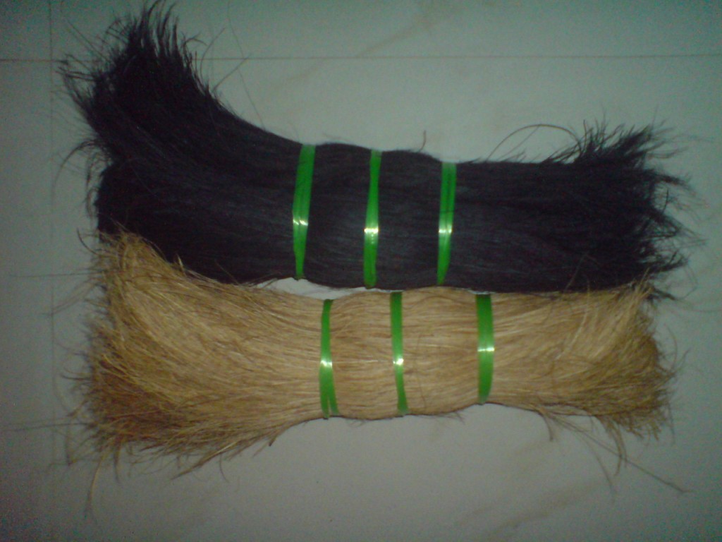 Coir Bristle fibre