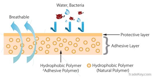 XPOT Renoderm