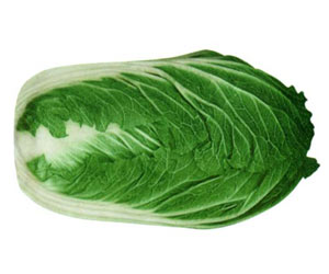 fresh cabbage