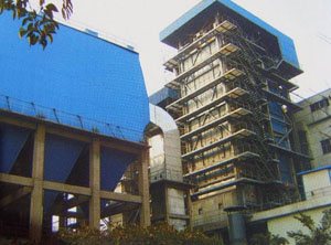 Biomass fuel power station boiler