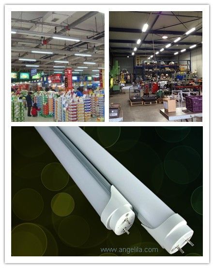 LED tube light,Fluorescent tube light,T8 led tube light 600mm
