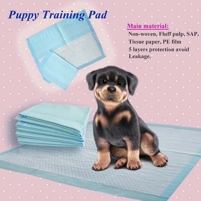 puppy training pad