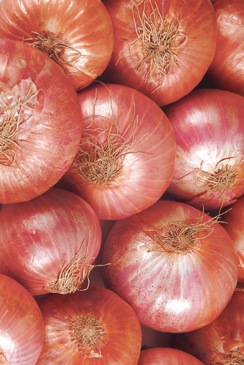 INDIAN ONION (NASHIK QUALITY)