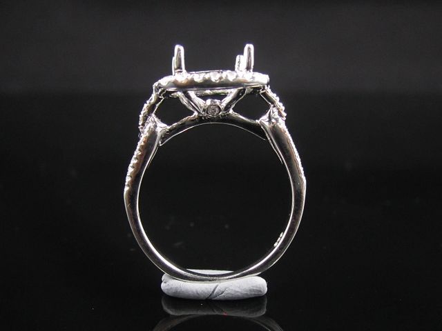 Engagement ring/wedding ring (Diamond ring / Semi-Mount Ring)