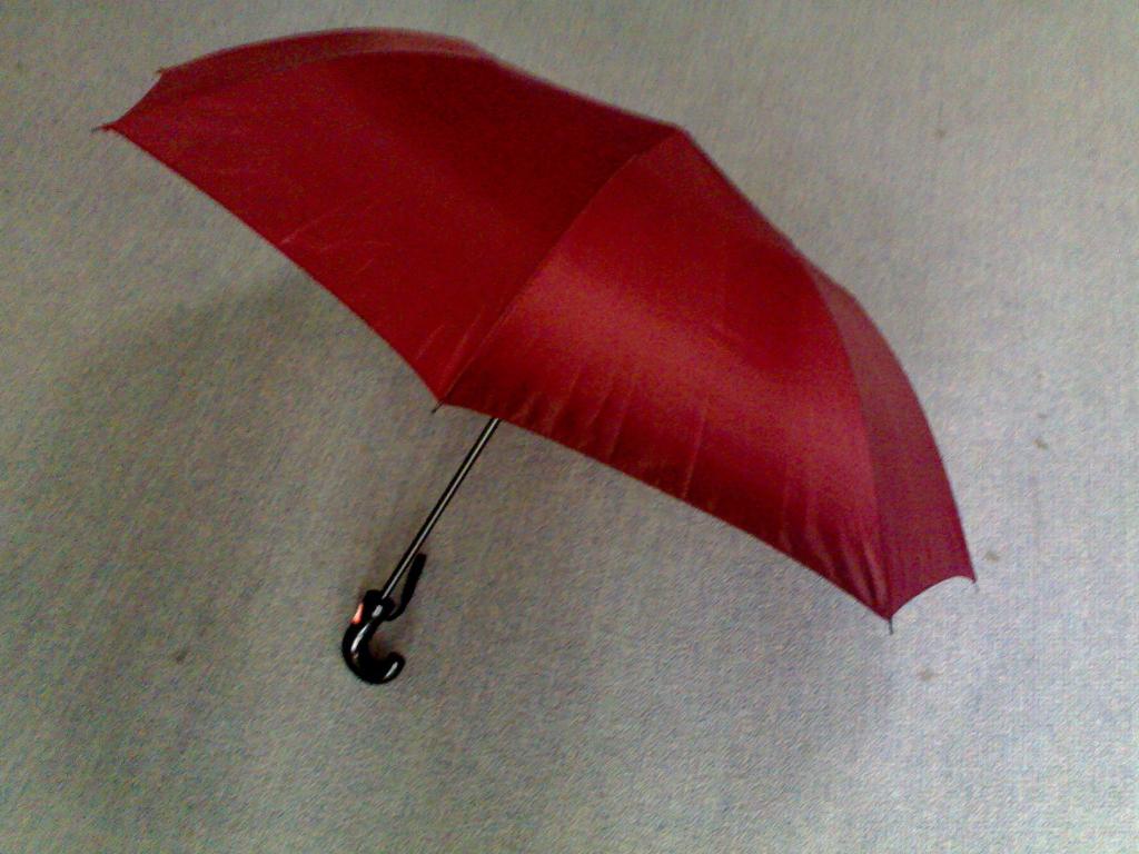 2 folding umbrella